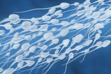 Spermiogramma: cos’è, come funziona e a cosa serve.