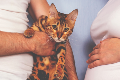 TOXOPLASMOSI E GRAVIDANZA: tutto ciò che c’è da sapere